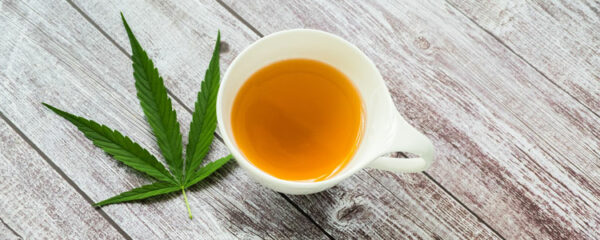 CBD en tisane