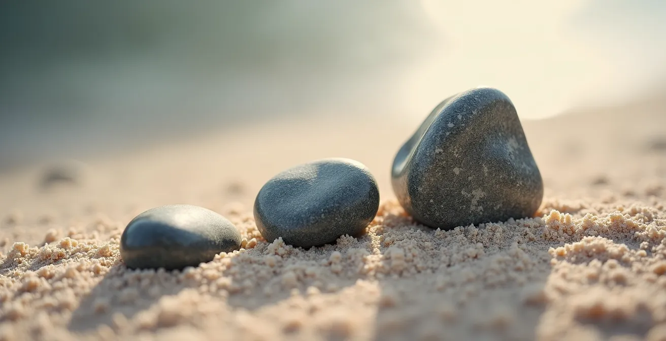 Phases de consolidation osseuse visible sur modèle anatomique du pied
